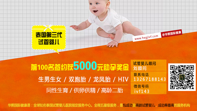 胚胎的形成过程与其发育的阶段 胚胎的形成过程与其发育的阶段