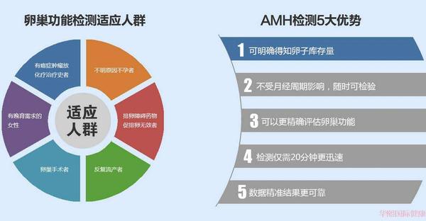 MH值是决定泰国试管婴儿成功率最重要因素 MH值是决定泰国试管婴儿成功率最重要因素