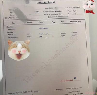 28岁L姐想要龙凤胎,做泰国试管婴儿选性别,幸运的是一次成功 28岁L姐想要龙凤胎,做泰国试管婴儿选性别,幸运的是一次成功