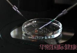 什么是囊胚,试管婴儿囊胚移植中着床失败的原因是什么? 什么是囊胚,试管婴儿囊胚移植中着床失败的原因是什么?