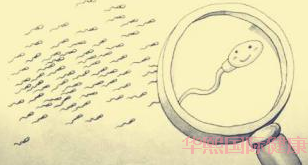 无精症求助泰国试管婴儿,捐精而来的也是我的孩子! 无精症求助泰国试管婴儿,捐精而来的也是我的孩子!